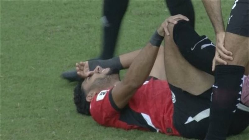 القارئ نيوز