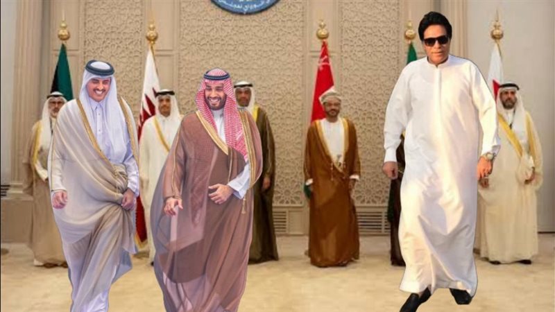 القارئ نيوز