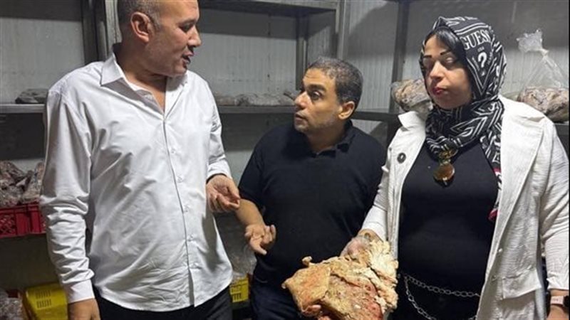القارئ نيوز