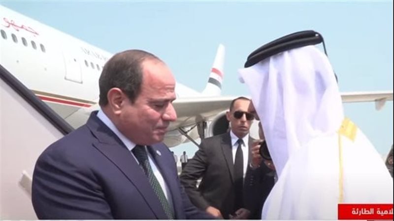 القارئ نيوز