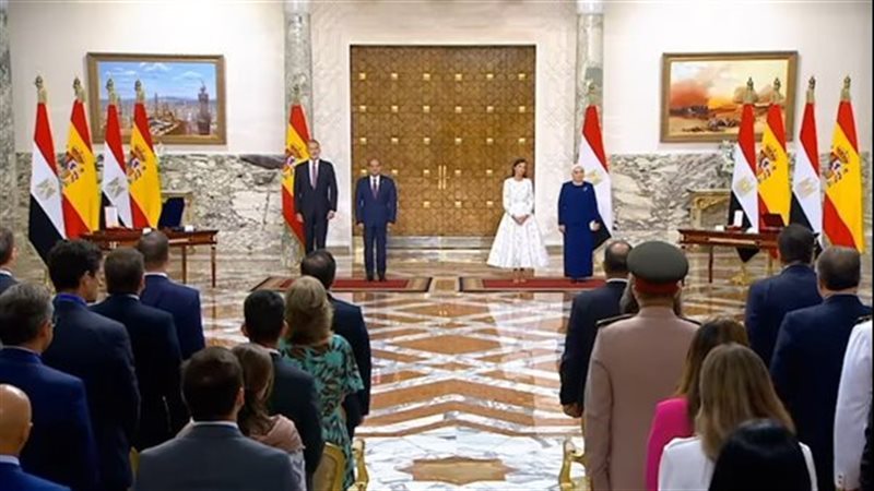 الرئيس السيسي ملك
