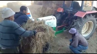 حادث بشع.. دراسة قش أرز تفرم سيدة أثناء عملها