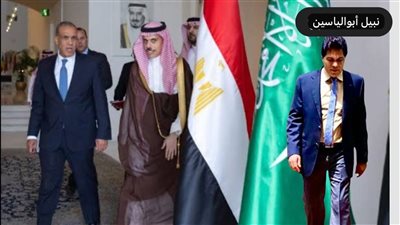 نبيل أبوالياسين: استجابة لدعوة السعودية.. منصة الأمم المتحدة تكرس ازدواجية العدالة