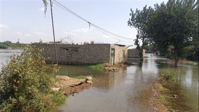 منوف تحذر من فيضان النيل وتخلي منازل الطرح