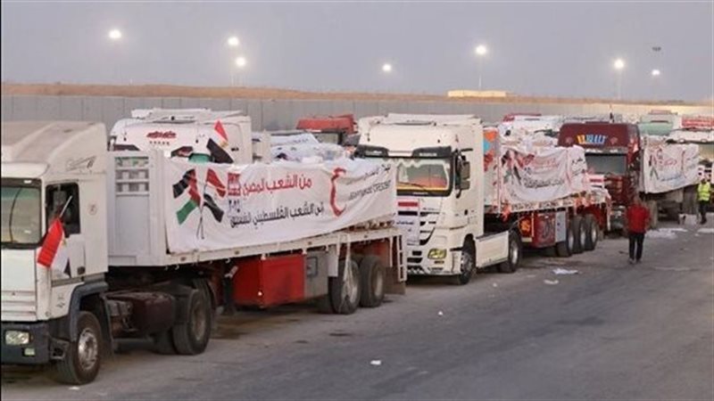 القارئ نيوز