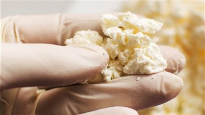 مخاطر الجبنة القريش المغشوشة وطريقة اختبار جودتها بالمنزل