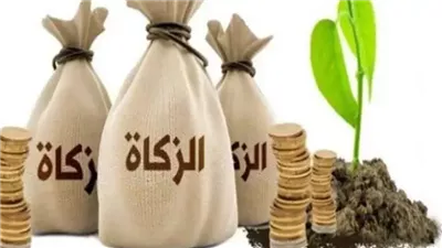 حكم إخراج الزكاة على «الأبقار والجاموس» وعدد النصاب