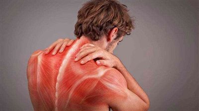 تحذير طبي.. أسباب إجهاد العضلات وأبرز طرق العلاج