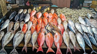 استقرار بحري في أسعار الأسماك بسوق العبور اليوم الأحد