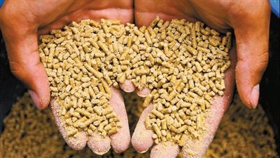 تباين أسعار الأعلاف والخامات اليوم الإثنين 27 أكتوبر