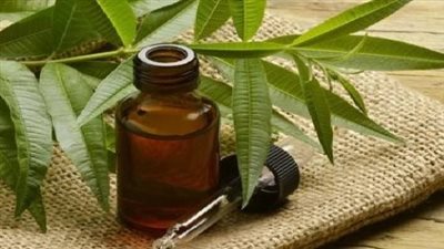«زيت شجرة الشاي».. علاج طبيعي لخمس مشكلات صحية