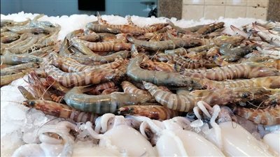 أسعار الأسماك اليوم الجمعة 31 أكتوبر 2025 بالأسواق المصرية