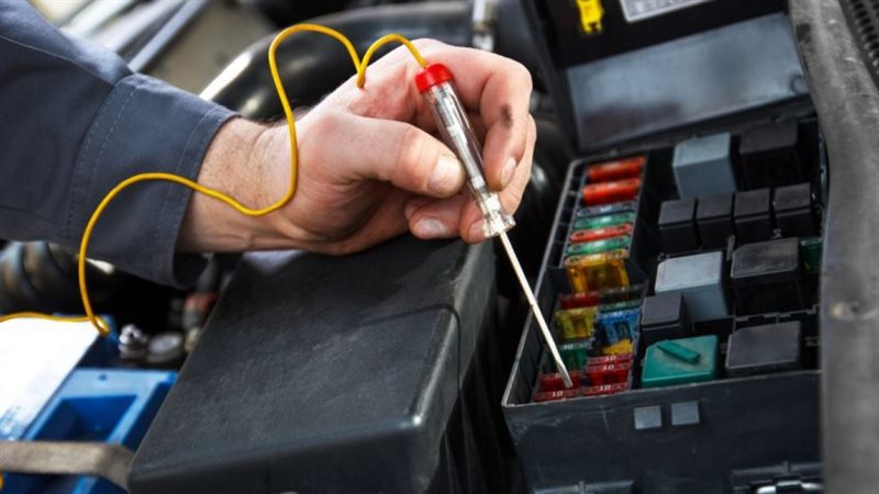 القارئ نيوز