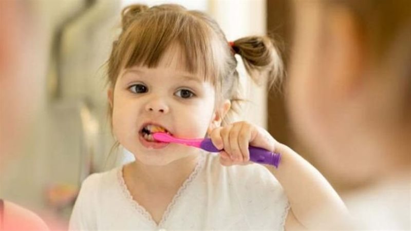 استخدام الفلوريدا