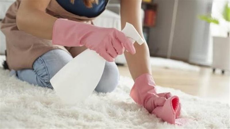 التنظيف الجاف للسجاد