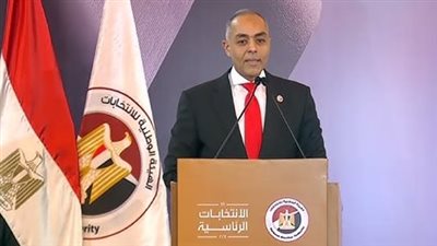 البنداري يعلن تفاصيل شكاوى المرحلة الثانية للانتخابات