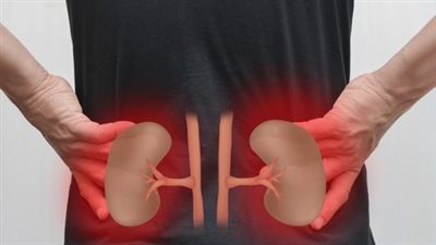 علامات خفية قد تشير إلى إصابتك بمرض الكلى مبكرا 