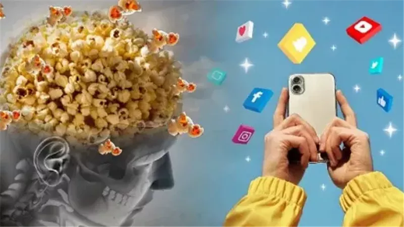 دماغ الفشار 