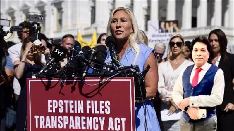 القارئ نيوز