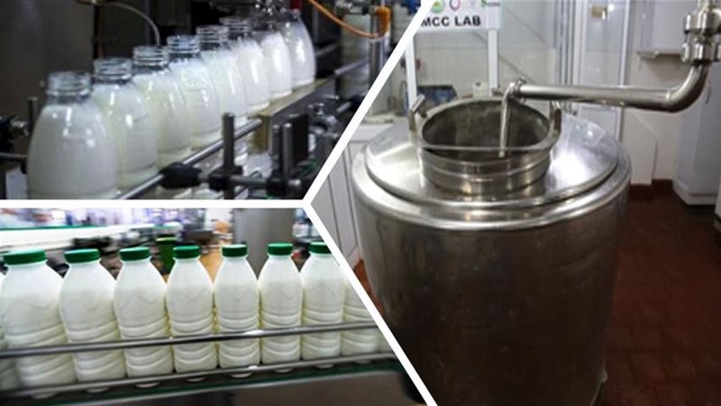 مراكز إنتاج الألبان