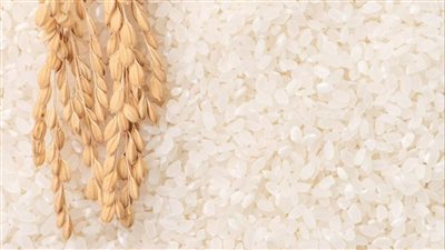 أسعار الأرز الشعير اليوم الجمعة 16 يناير 2026