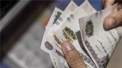 رسميا.. صرف مرتبات ديسمبر بعد قرار وزارة المالية