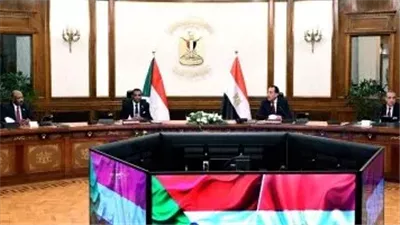 مصر والسودان يجددان رفض الإجراءات الأحادية بحوض النيل