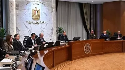 مدبولي يستعرض سيناريوهات التعامل مع الممارسات الاحتكارية للسلع ومواجهتها