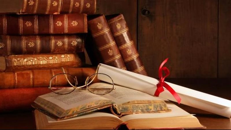 القارئ نيوز