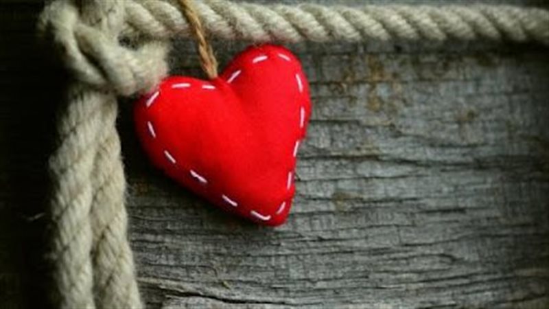 القارئ نيوز