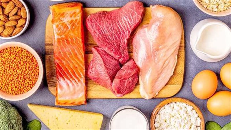 الأطعمة البروتينية