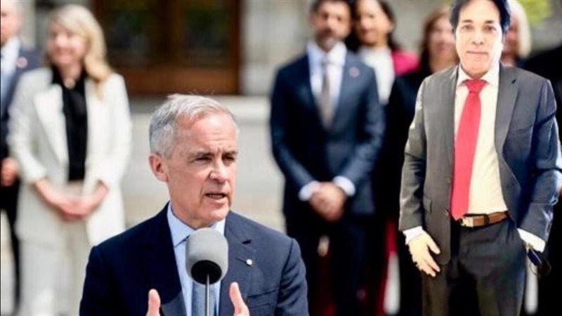 القارئ نيوز