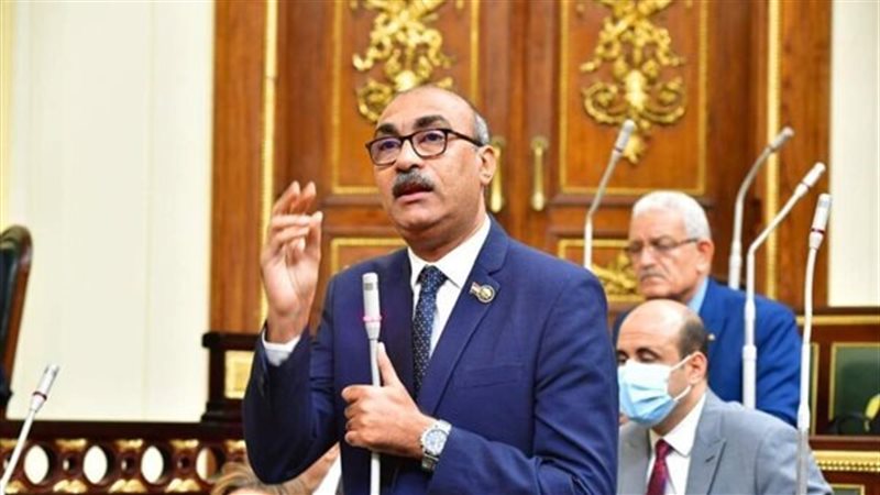 إيهاب منصور عضو مجلس