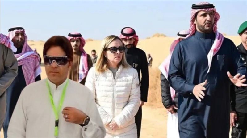 القارئ نيوز