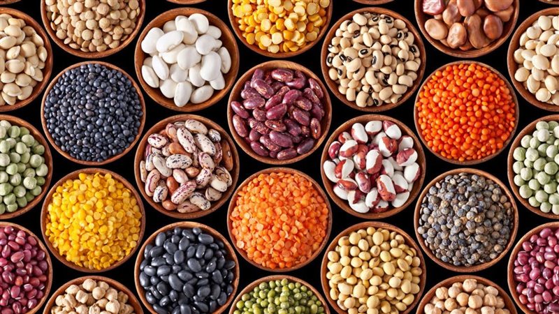 البروتينات