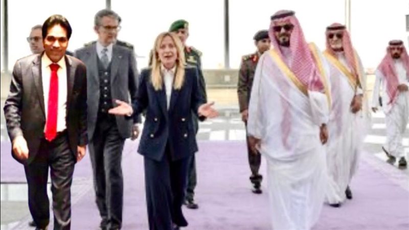 القارئ نيوز