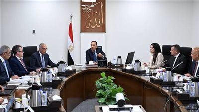 رئيس الوزراء يتابع مستجدات مشروعات مياه الشرب والصرف الصحي بأسوان