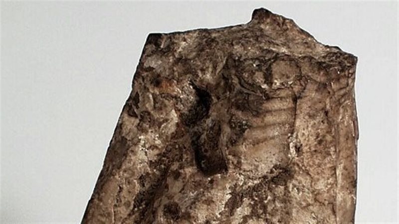  قطعة مصرية نادرة لـ كاتب ملكي من مدينة منف