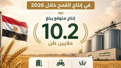 مصر.. الأولى عربيًا في إنتاج القمح خلال 2026
