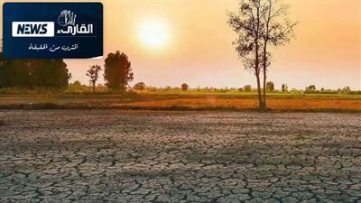 النينـو .. الخطر الداهم الذي يهدد المحاصيل والمياه والغذاء في العالم