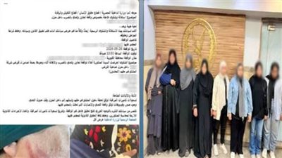 ضبط 8 سيدات في مشاجرة بسبب مديونية مالية بالقليوبية