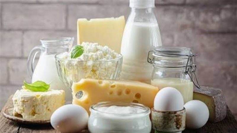 منتجات الألبان